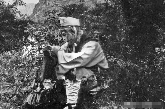 西游记之悲:白马惨死师徒为名利翻脸,躲过81难却躲不过人性贪欲