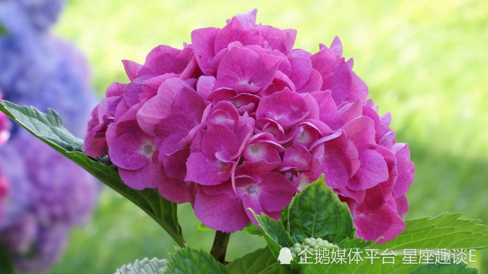 3月13日星座运势 把握机会 乘势而上的四大星座 天天看点