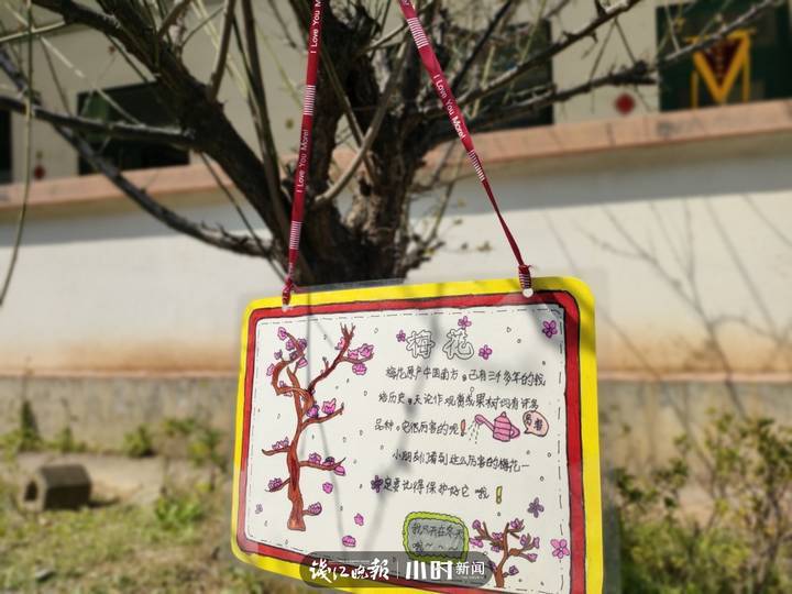 学校为孩子们举行了植物挂牌仪式,孩子们亲手将自己制作的植物名牌