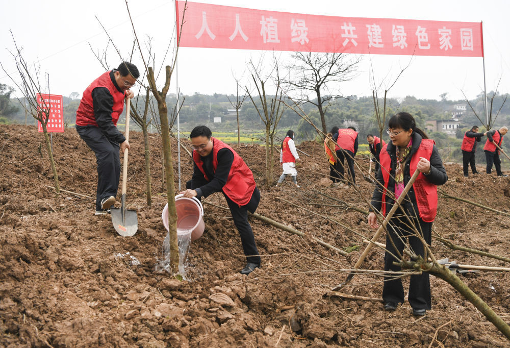 700亿破产孩子人行道敞开帮忙家门生少儿外教英语课