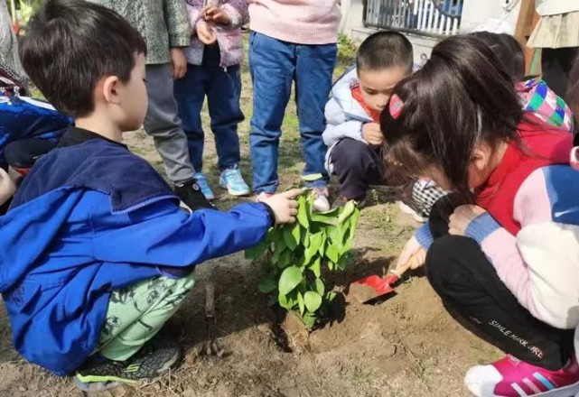 大家收穫著種植的辛勞與快樂.編輯:萬園豔【來源:揚帆客戶端】