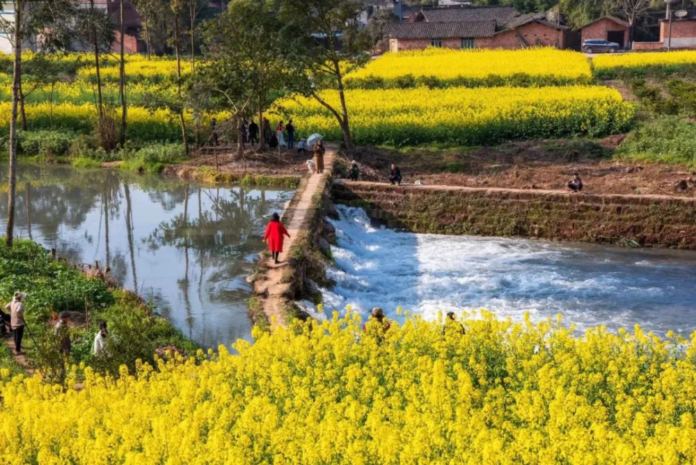 別催了2022年樂山春季賞花地圖已上線快來領取