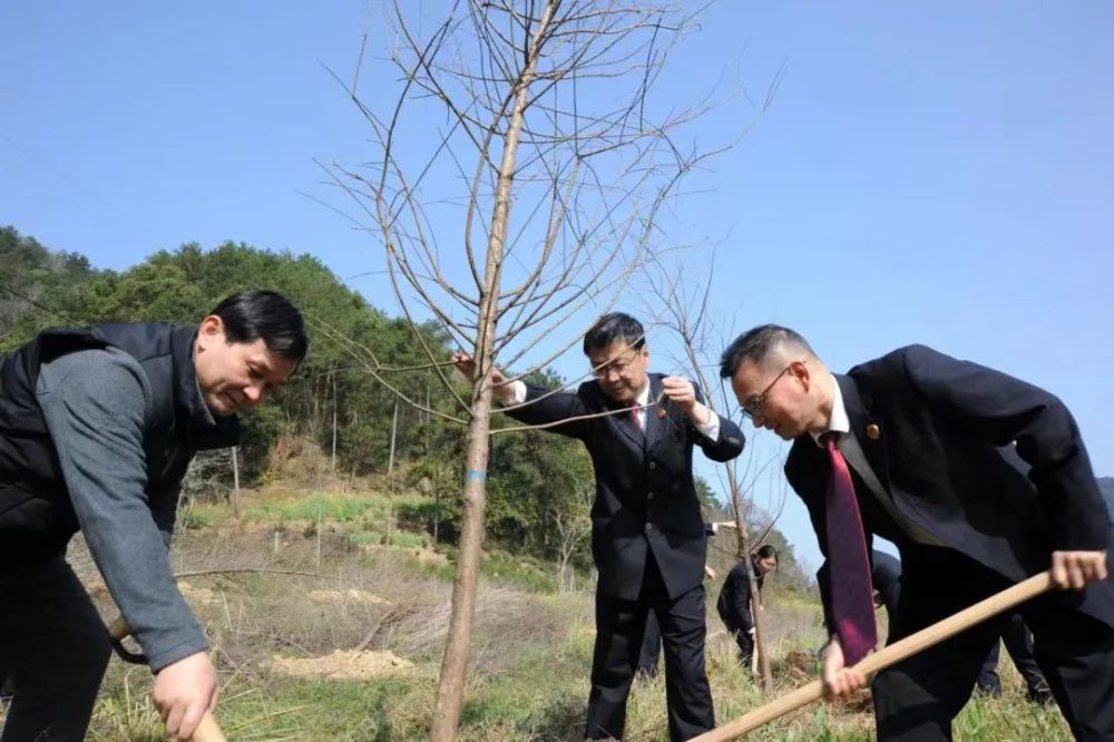 植树节 安徽歙县 打造全市首个 两长 公益示范林 腾讯新闻