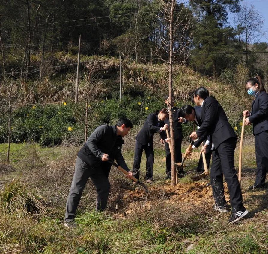 植树节 安徽歙县 打造全市首个 两长 公益示范林 腾讯新闻