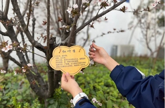 我为树木挂名牌郑州市第五十四中学开展植树节特别活动