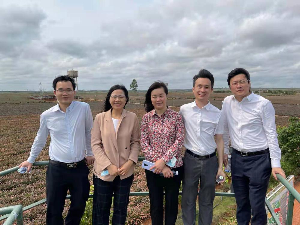 致敬徐闻菠萝赶路人果农自设女神奖颁给她