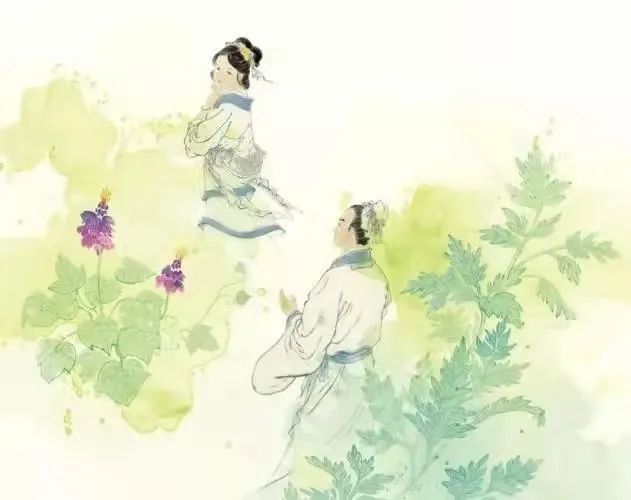 【新月姐姐读诗经】采葛