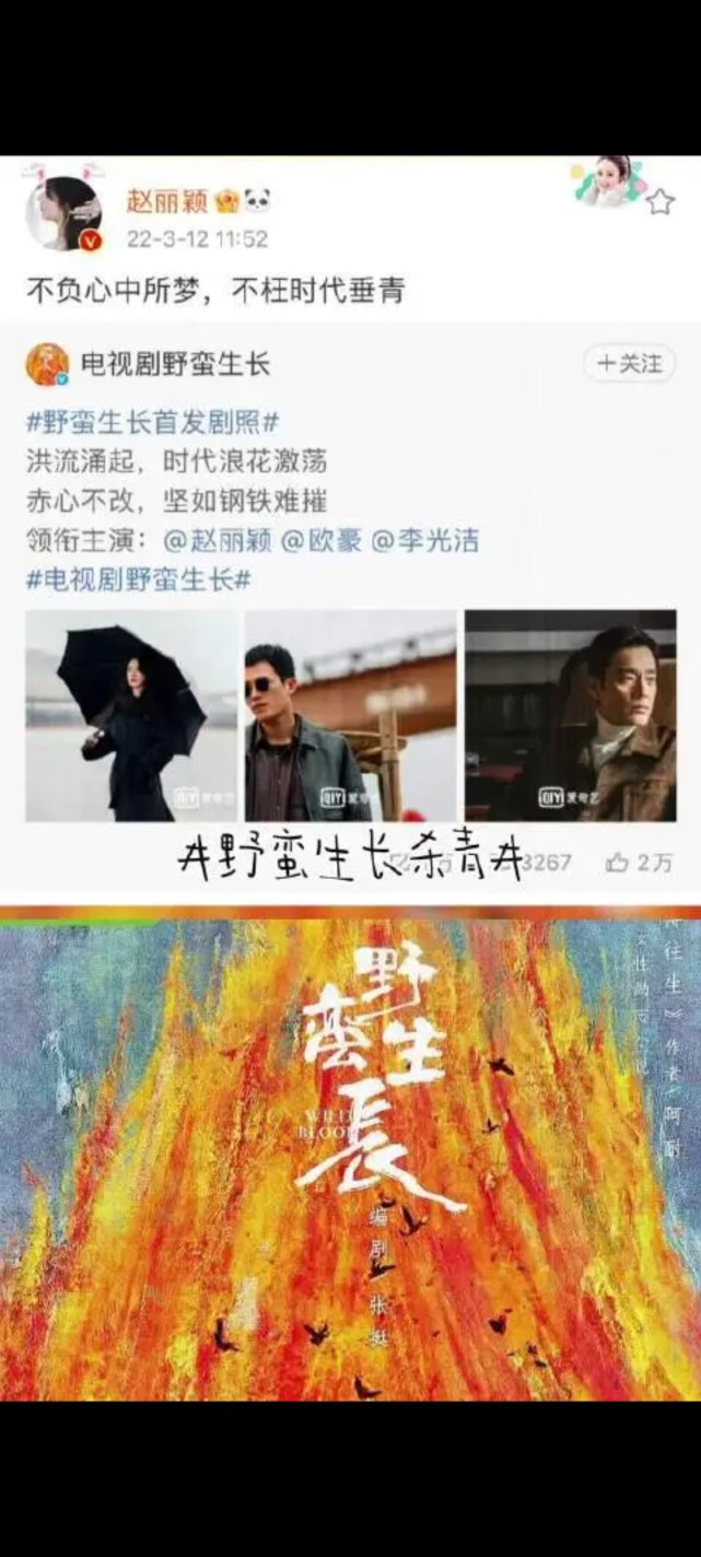 明兰都有特别精彩的表现,在《野蛮生长》中饰演的这许半夏也是赵丽颖