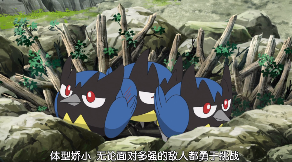 钢铠鸦见丹帝和小智没有敌意,于是在一旁静静看着丹帝给稚山雀包扎