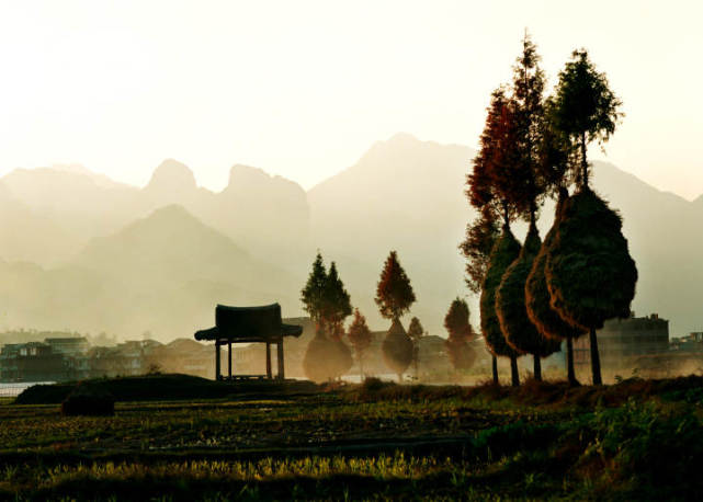 文化寻根约会千年古村落▏永嘉枫林镇山水诗乡书院林立