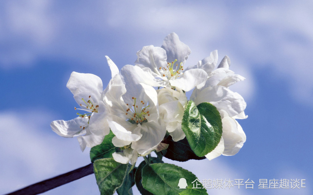 3月13日 19日星座运势 把握契机 成绩卓越的四大星座 天天看点