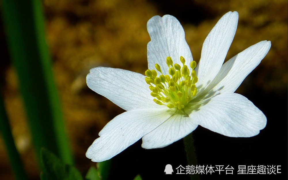 3月13日 19日星座运势 把握契机 成绩卓越的四大星座 腾讯新闻