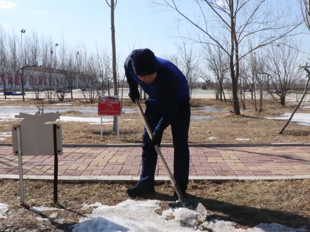 劉玉峰教導員從植機務樹活動的由來,為什麼要選雲中楊作為機務樹