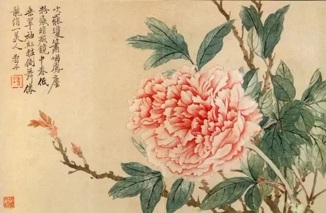 国画中十大吉祥花卉的寓意 花鸟画 牡丹 荷花 恽寿平 国画