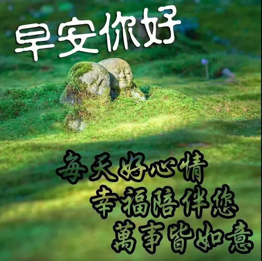 3月13日星期天有創意的春天早上好問候圖片帶字唯美早安問候祝福圖片