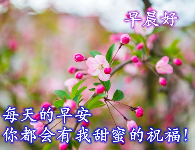 星期日清晨最新早上好漂亮表情祝福图片语句,2022年早上好清晨把祝福
