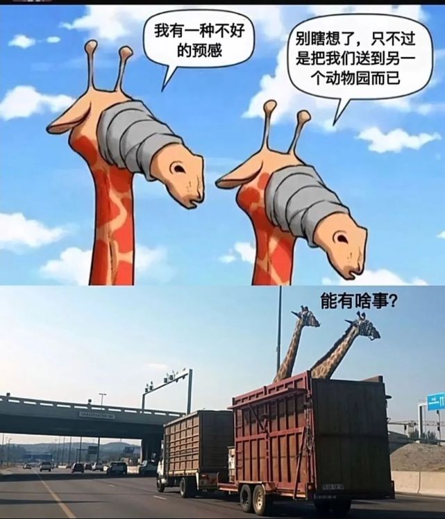 沙雕梗图44谈恋爱第一周