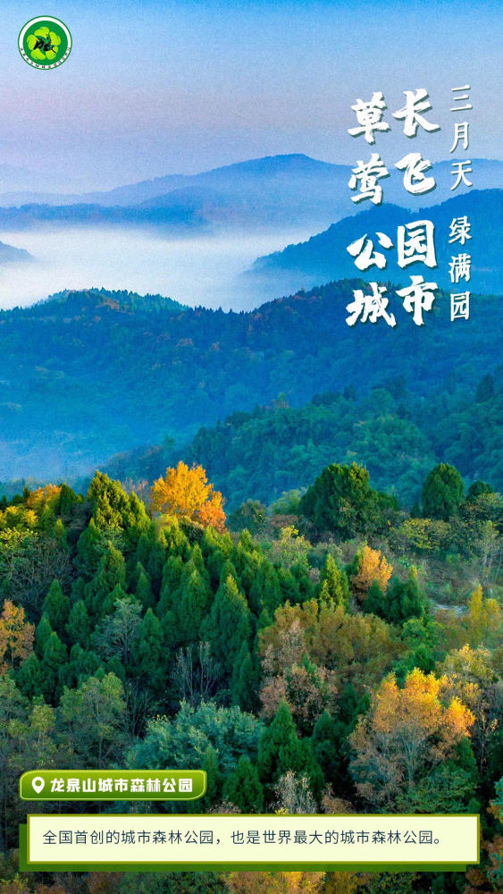 草长莺飞三月天一组海报看公园城市绿满园