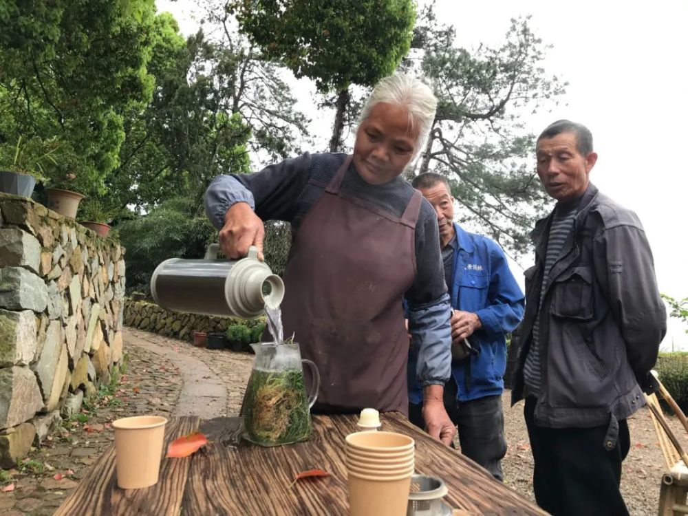 丽水味道在松阳喝茶