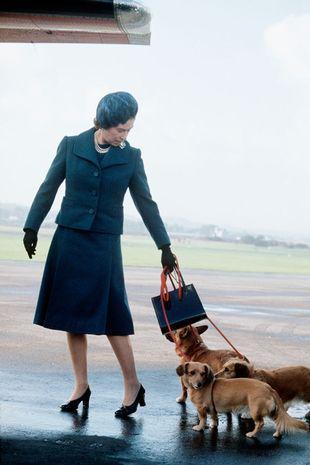95岁的英国女王身体每况愈下，可能永远不能再带爱犬散步了新概念网课推荐