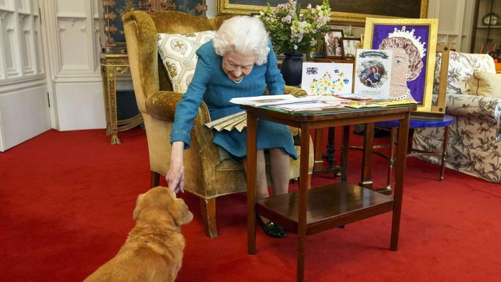 95岁的英国女王身体每况愈下，可能永远不能再带爱犬散步了新概念网课推荐