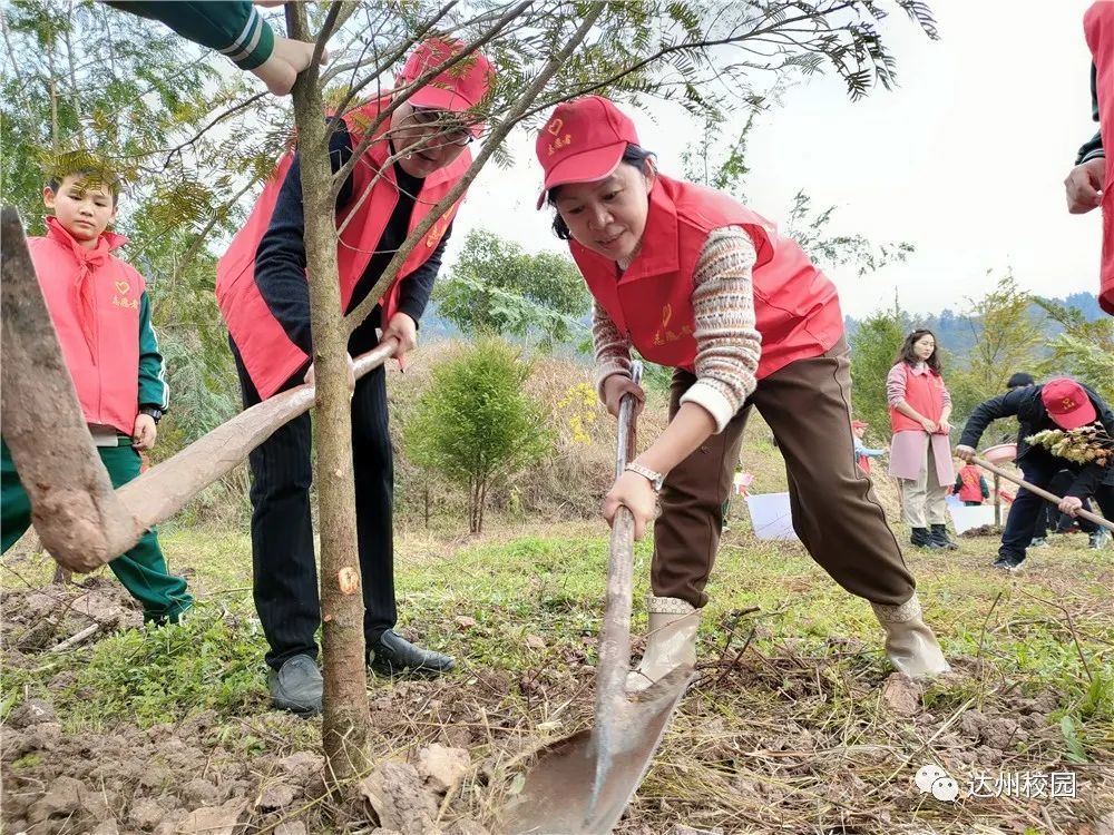 在植樹節來臨之際,3月10日上午,宣漢縣百節溪小學組織部分黨員,團員