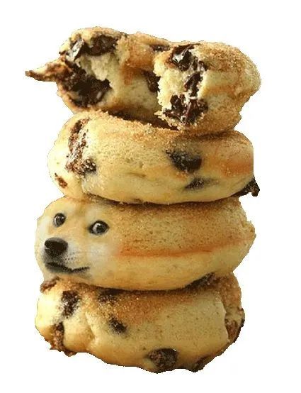 『热梗百科』"面包狗"是什么梗?_腾讯新闻