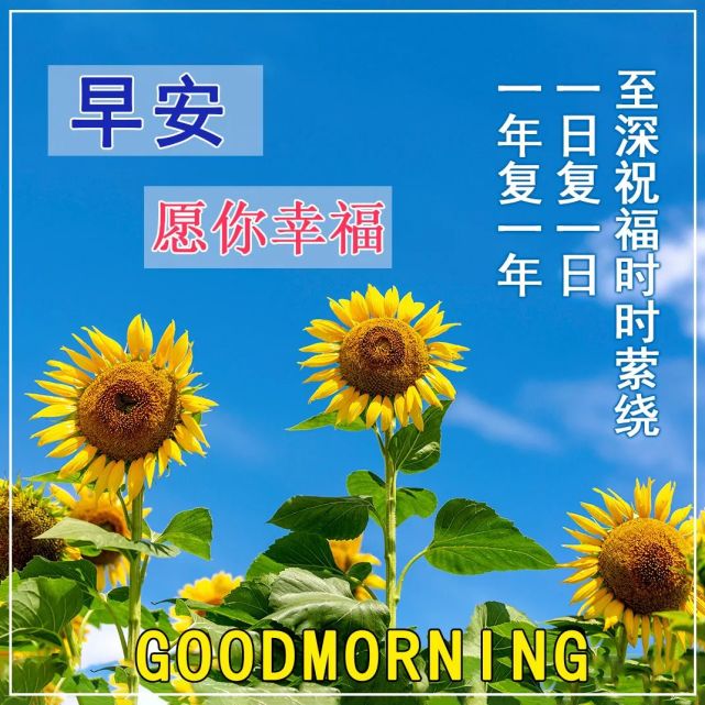 2022春天最受欢迎早上好问候表情图片 微信很美早上好表情图片问候