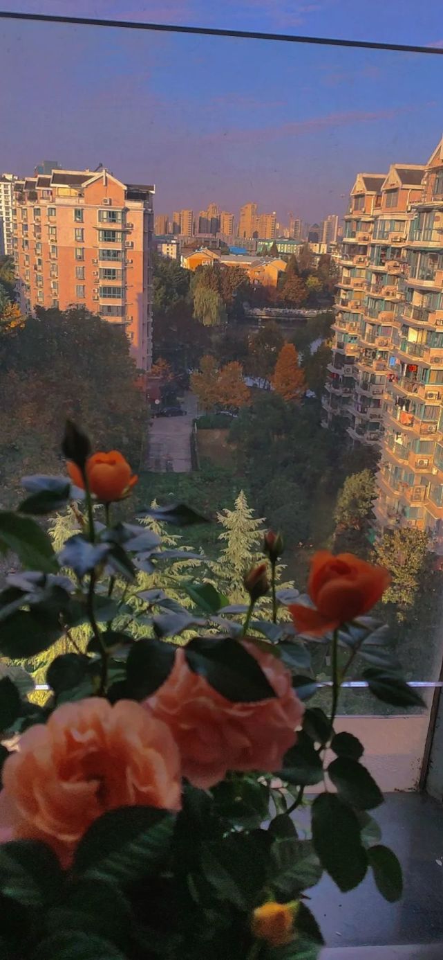 壁纸高级惊艳的小众壁纸