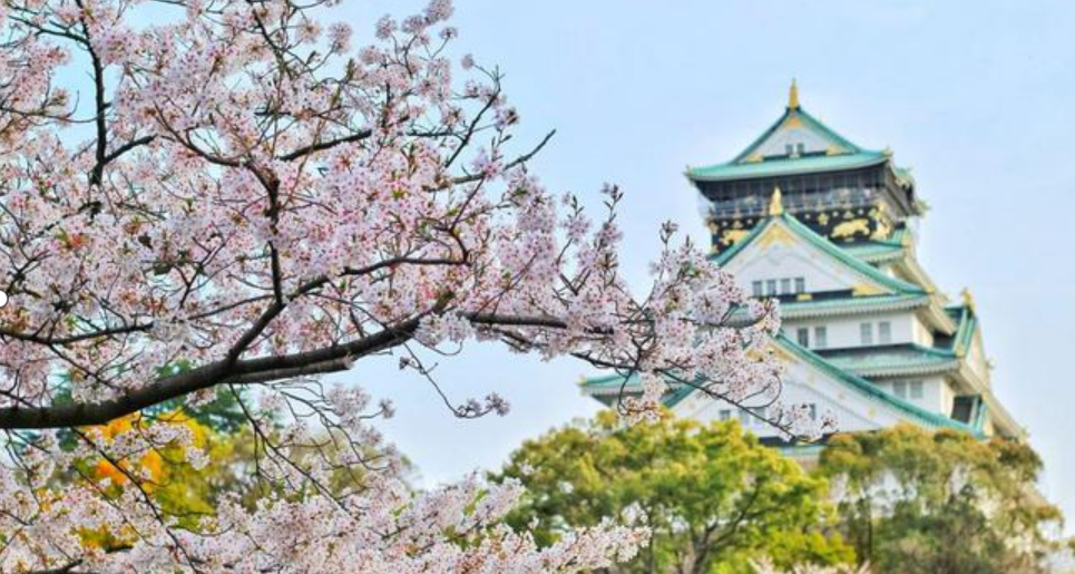 北京会计师事务所排行_北京知名婚姻律师事务所排名