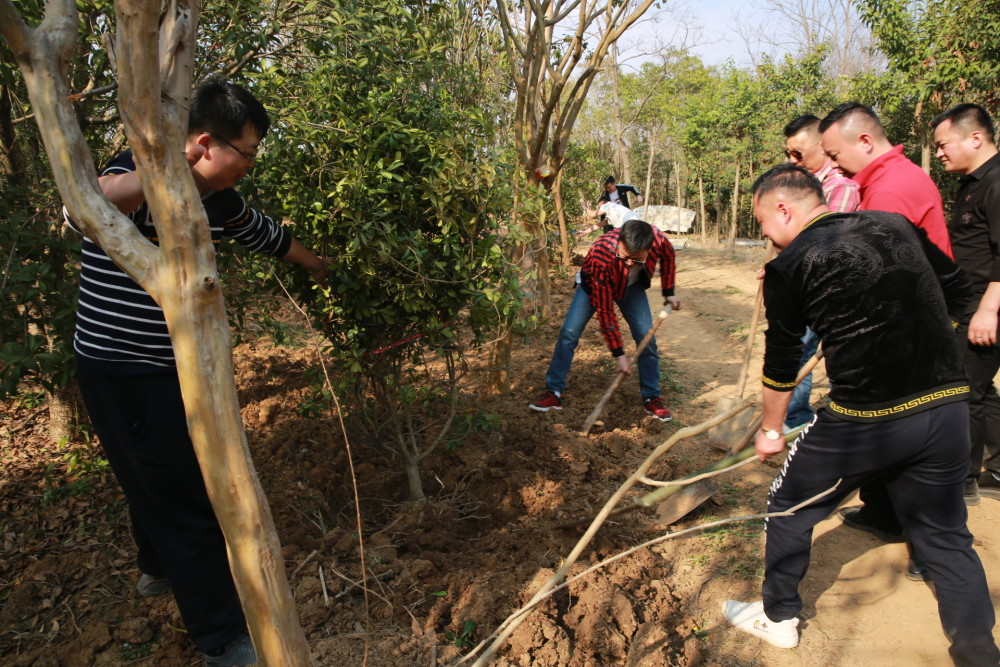 纪念孙中山先生中国植树节