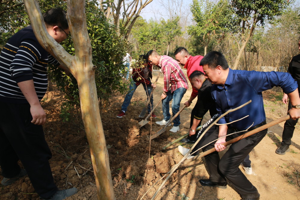 纪念孙中山先生中国植树节