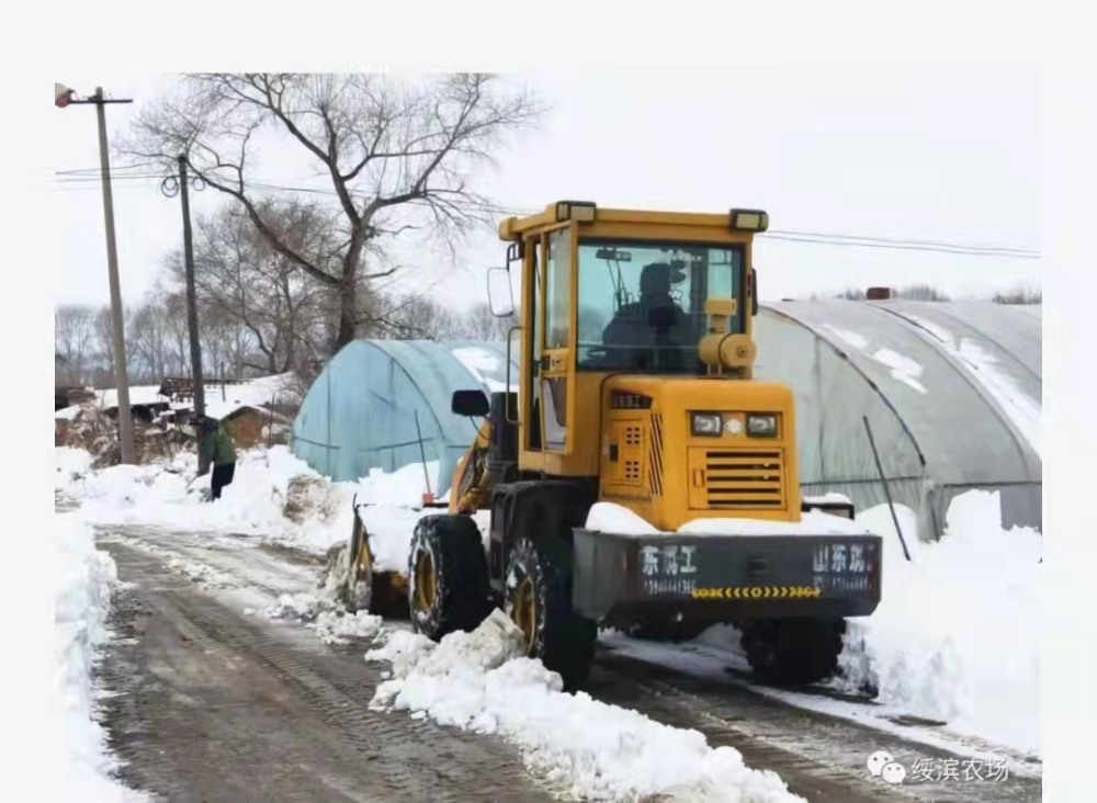 抢农时争主动清雪扣棚备耕忙