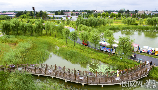 蠡县湿地公园.
