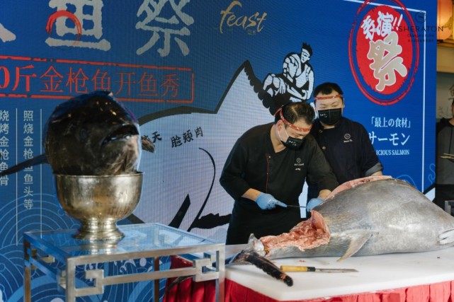 长沙运达喜来登酒店举办超200斤金枪鱼开鱼仪式