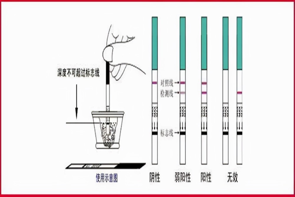排卵期中奖怎么这么难快看看排卵试纸用对了吗