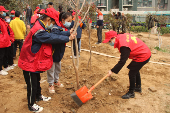 植树绿化正当时高新区长椿路小学开展植树节主题活动