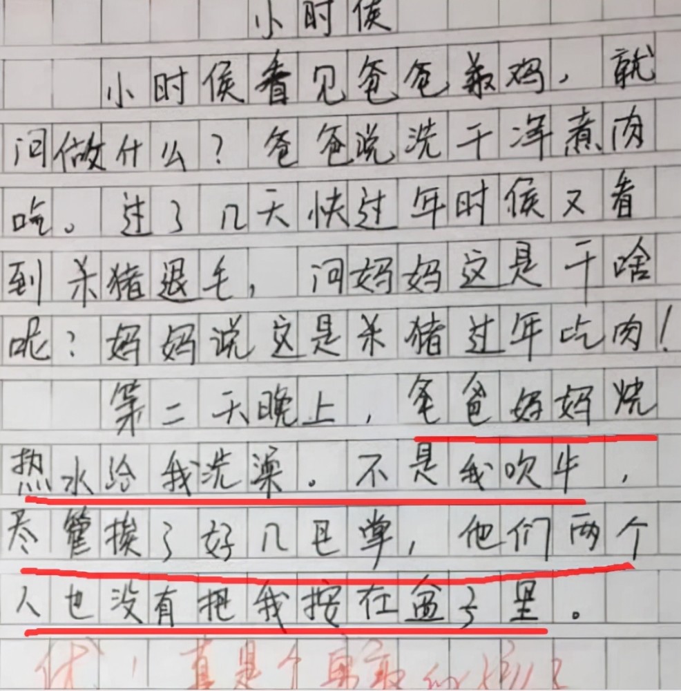 小学生作文 限性别 巧妙解决社会矛盾 车不堵了天也蓝了 腾讯新闻