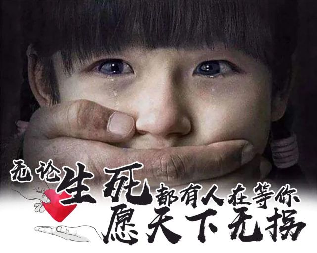 无论生死都有人在等你——愿天下无拐