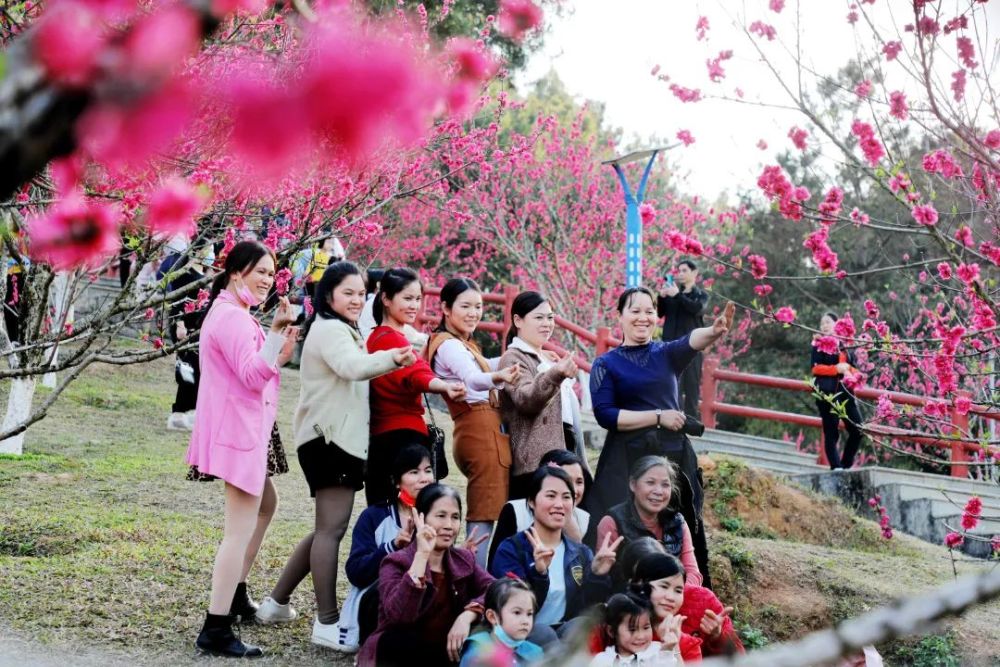 平南龚州公园桃花朵朵开走赏花去