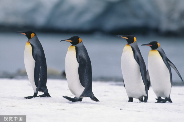 企鹅号是我们的家,需要大家共同维护它!