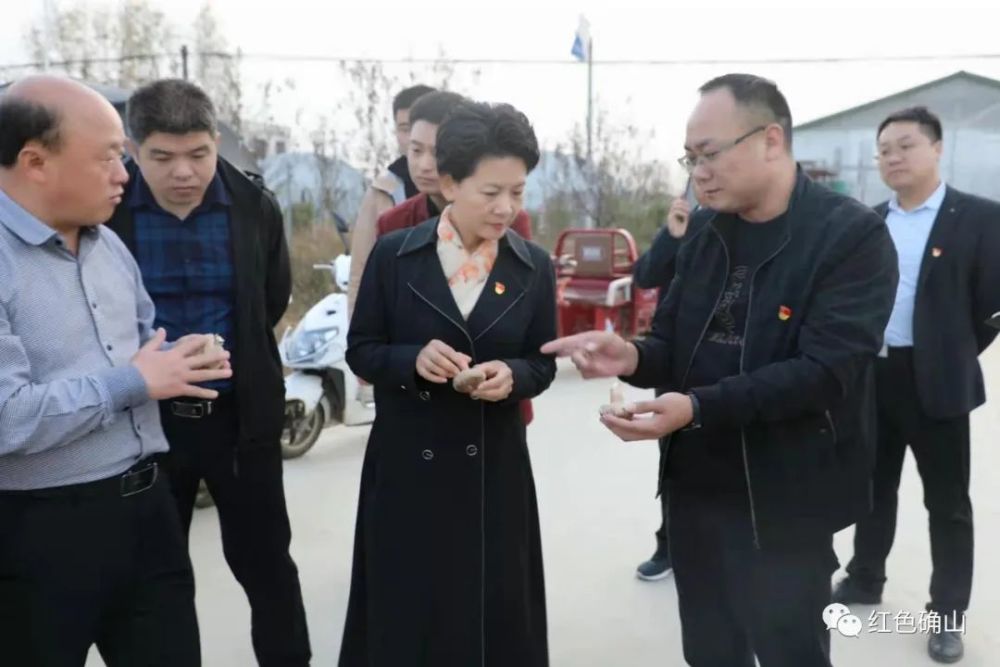 在确山县有这么一个行政村,村"两委"党员干部和全村群众并肩携手,不但