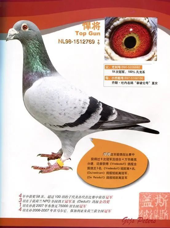 老盖斯和他的超级鸽油人号