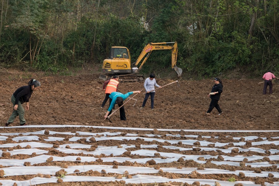 记者见到许祥彬时,一台挖掘机正在他家撂荒的耕地里翻土,许祥彬和十几