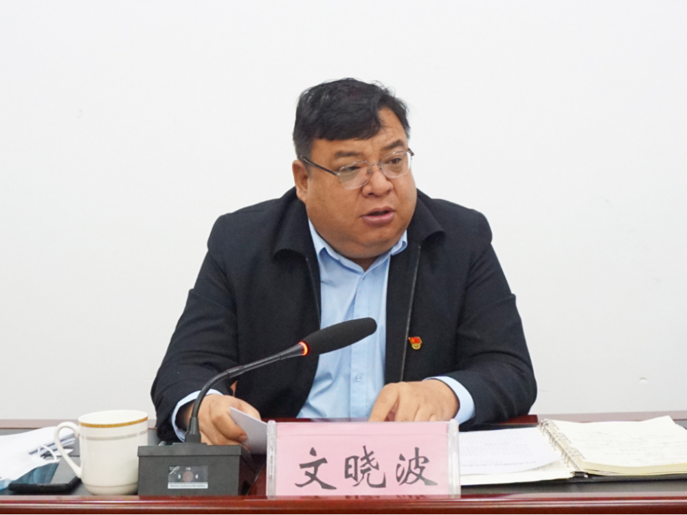 县委副书记,县长文晓波主持会议会议随机调度了甲寅镇