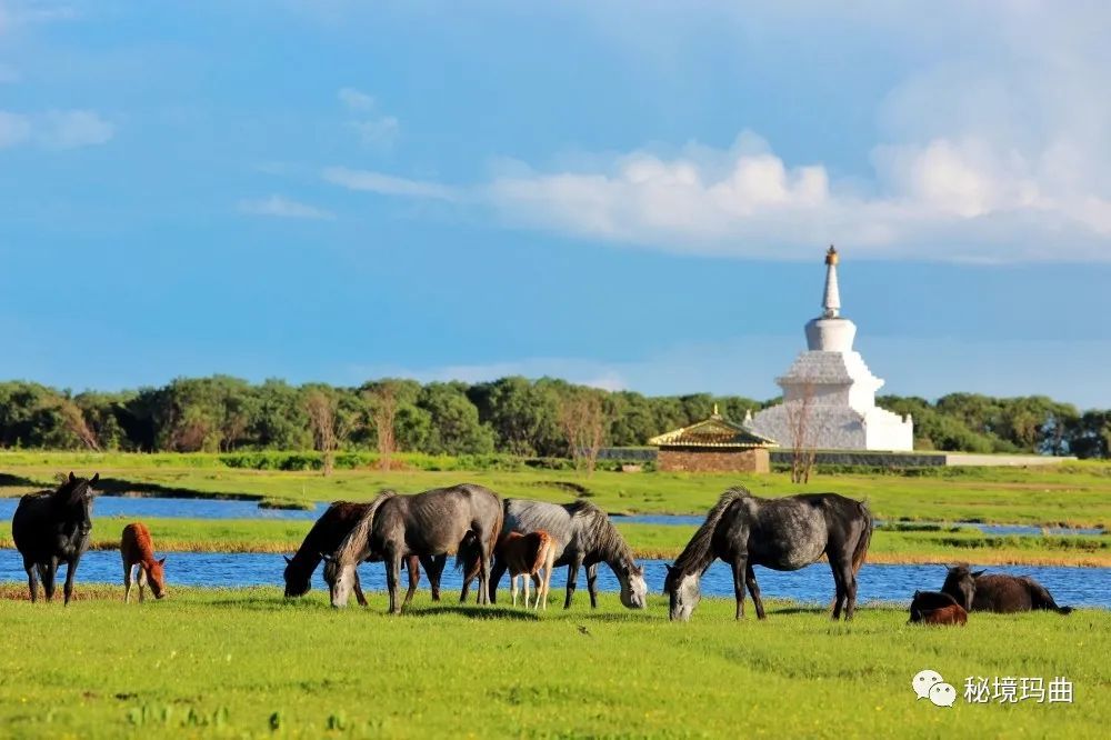 秀美的河曲马场湖
