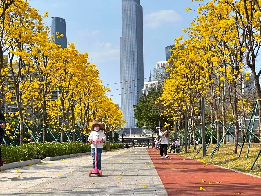 磨碟沙公园(磨碟沙公园开放时间)