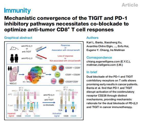 最新研究揭示 「 王炸组合 」 抗 Tigit 抗 Pd 1 的协同作用机制，cd226 或是成功的关键 腾讯新闻