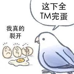 發的什麼鳥圖表情包