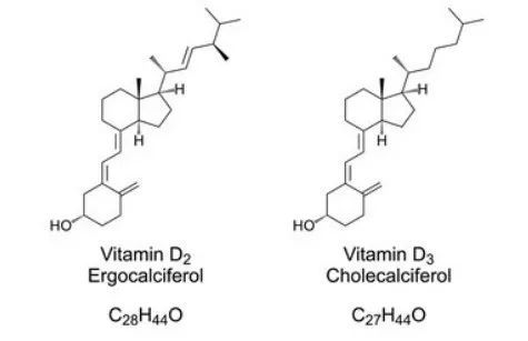 普通維生素dvs活性維生素d有何區別到底怎麼選一文幫你理清